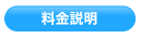 �����p�ē�
